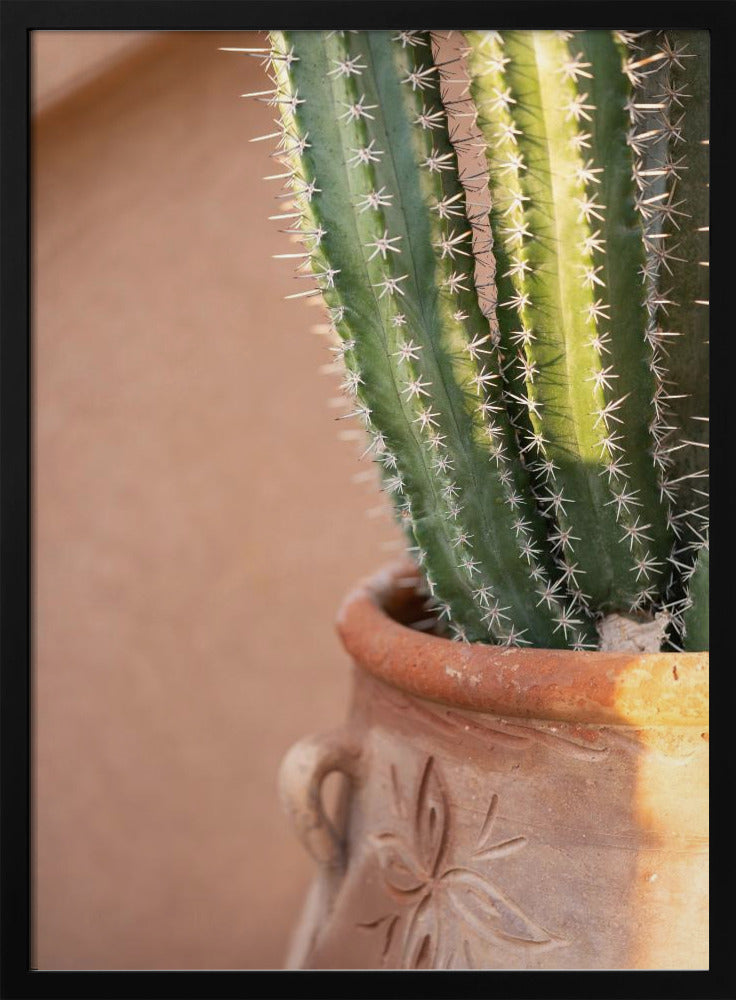 Green On Orange | Marrakech Travel Photography | Poster