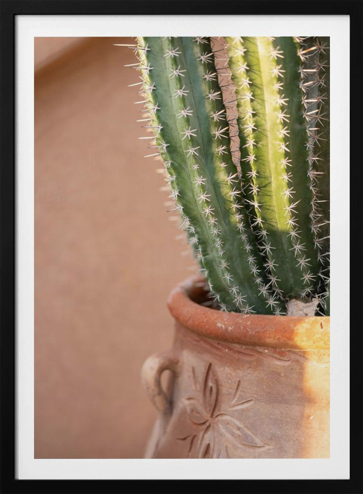 Green On Orange | Marrakech Travel Photography | Poster