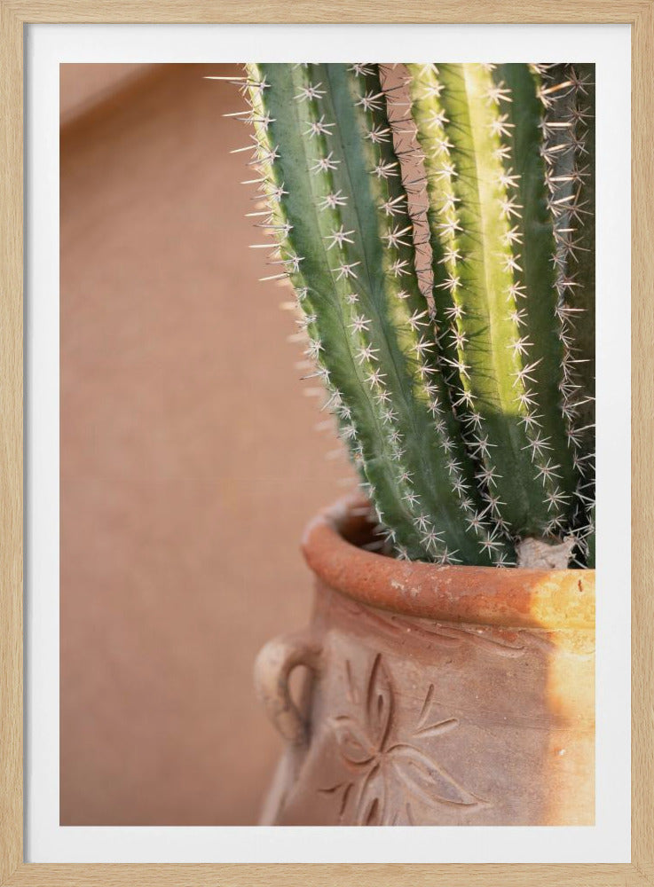 Green On Orange | Marrakech Travel Photography | Poster
