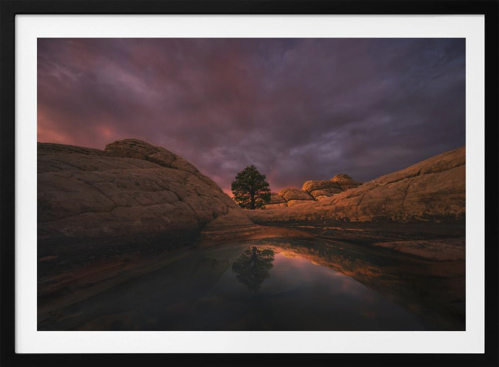 Morning Light | Poster