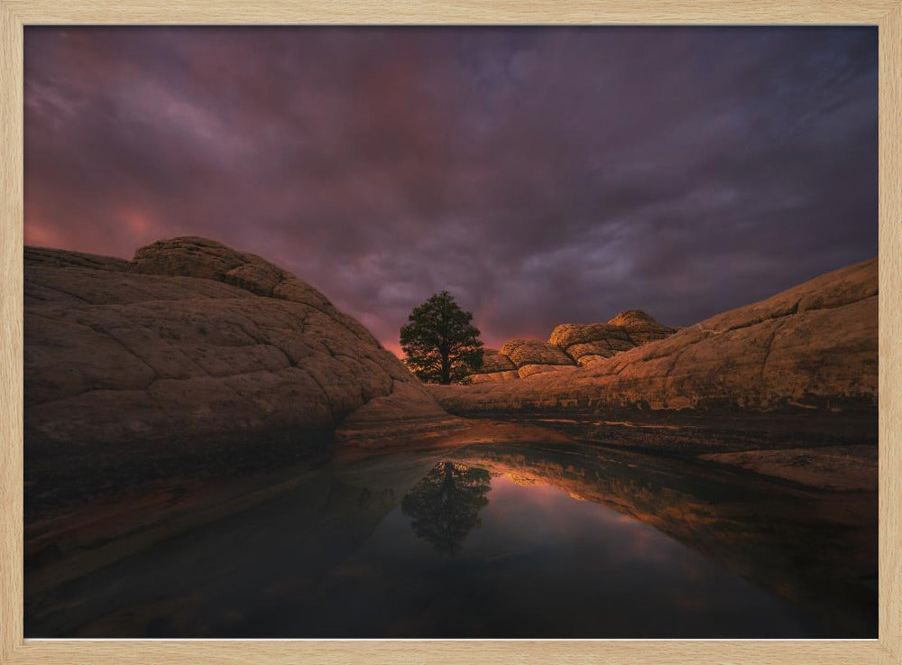 Morning Light | Poster