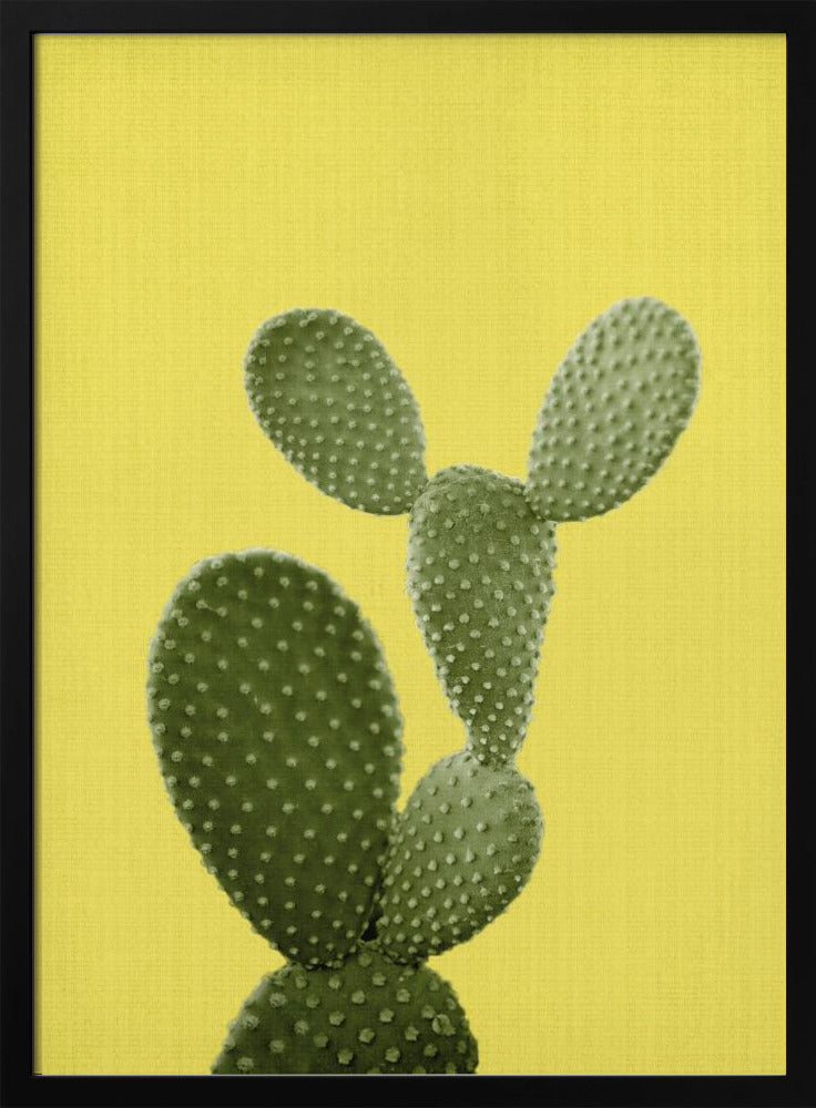 Yellow Cactus | Poster