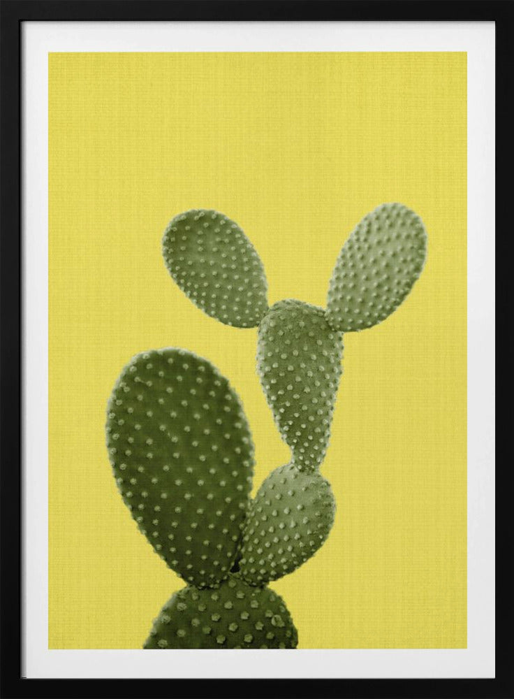 Yellow Cactus | Poster
