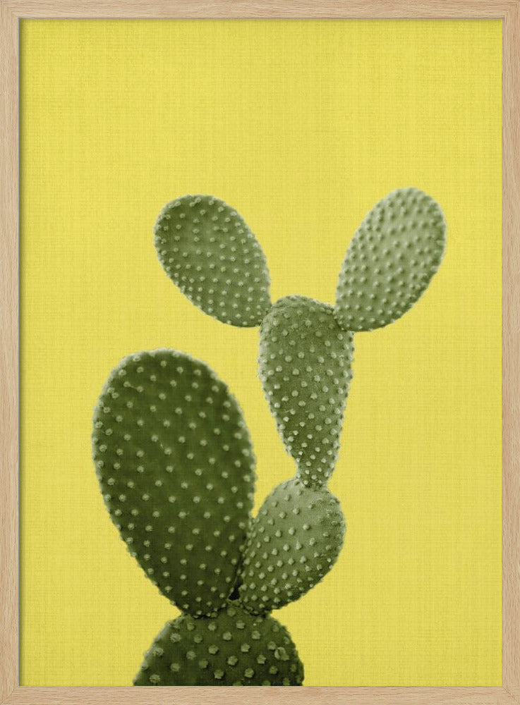 Yellow Cactus | Poster