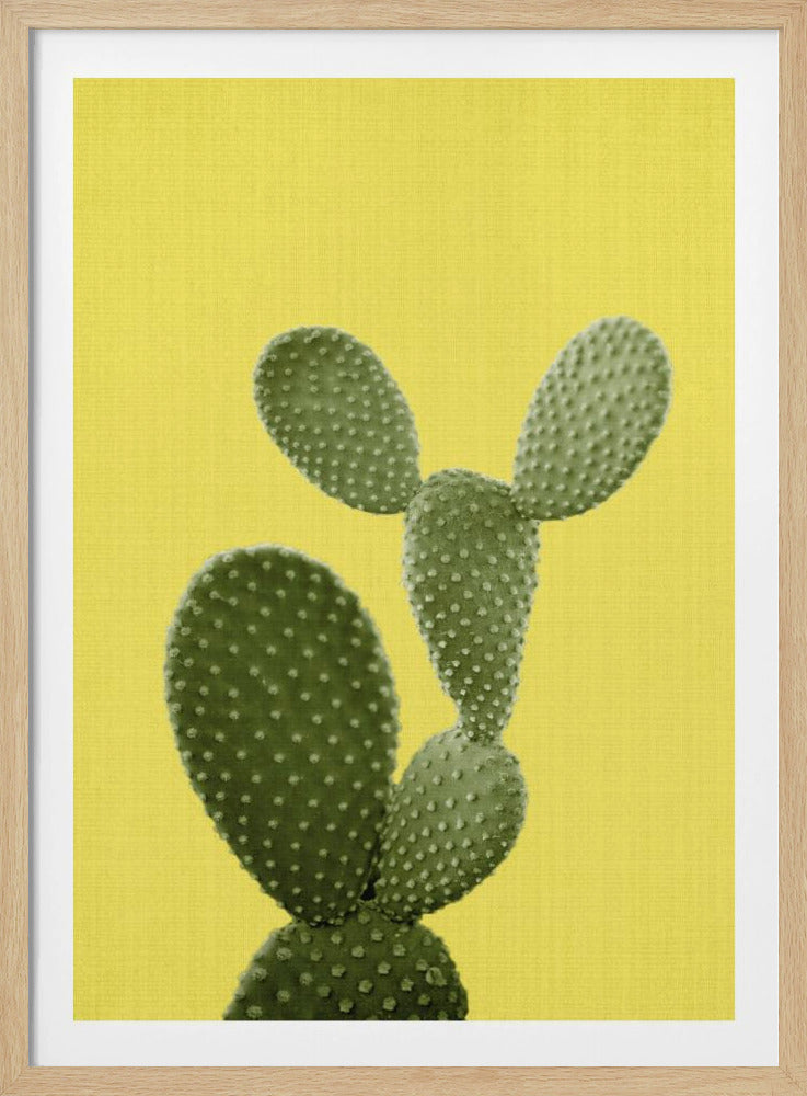 Yellow Cactus | Poster