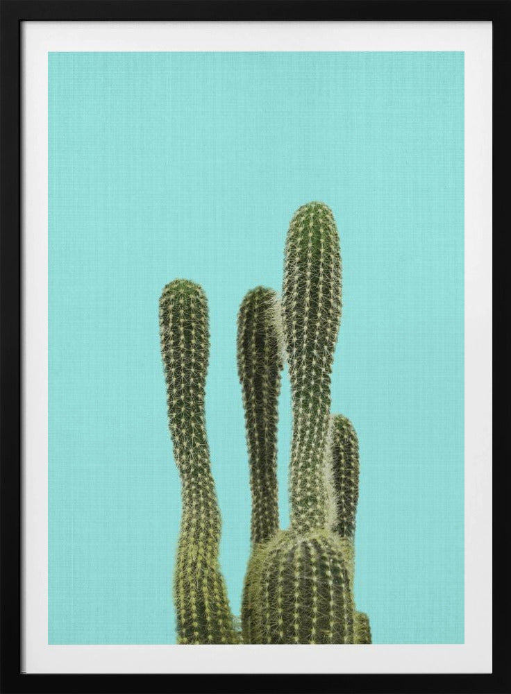 Turquoise Cactus | Poster