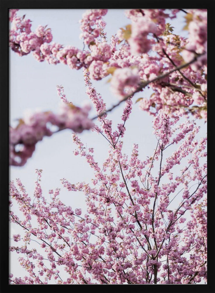 Colorful Spring 11 | Poster