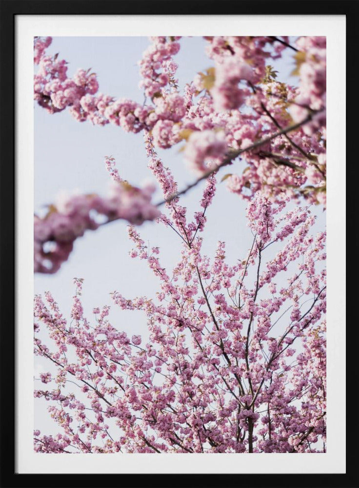 Colorful Spring 11 | Poster