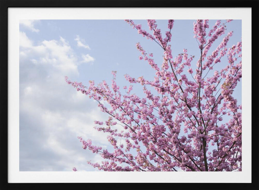 Colorful Spring 12 | Poster