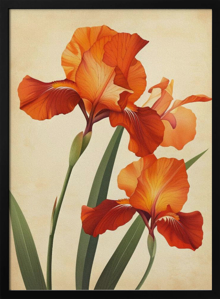 Poster Canvas Sng Iris 37 | Poster