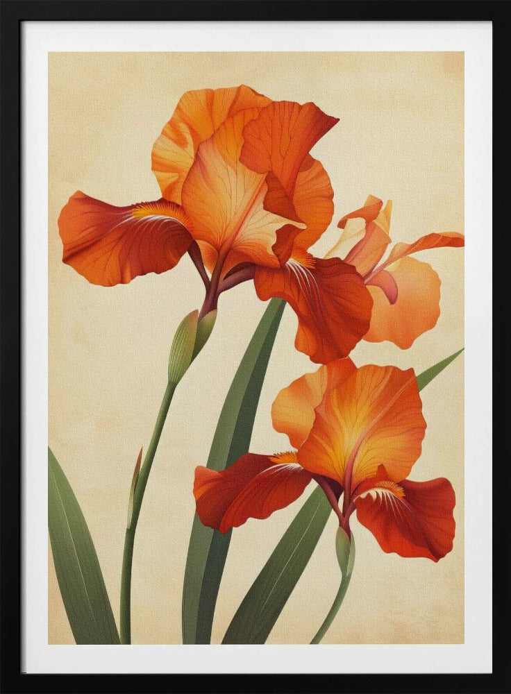 Poster Canvas Sng Iris 37 | Poster