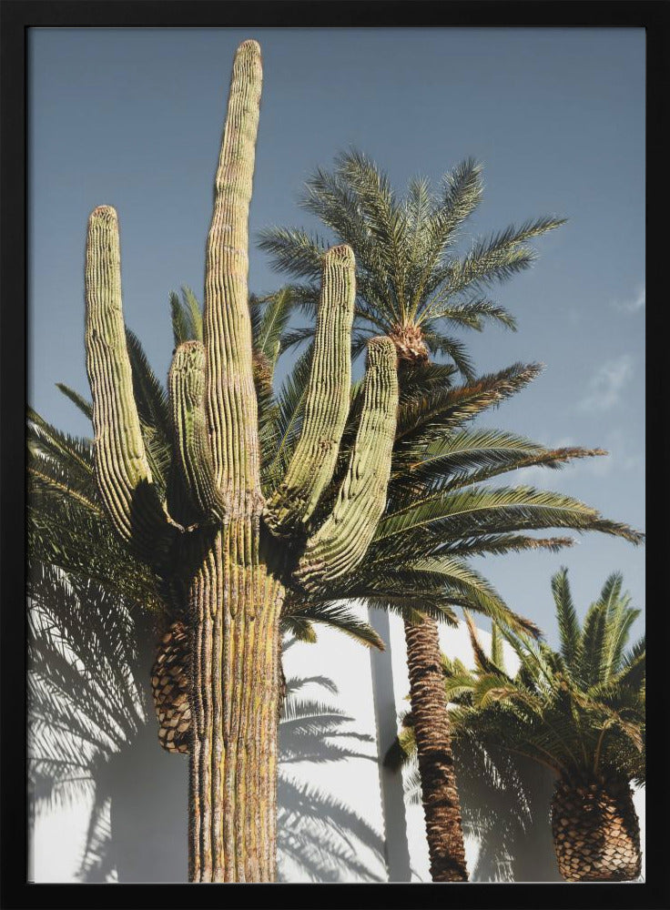 Cactus Las Vegas | Poster