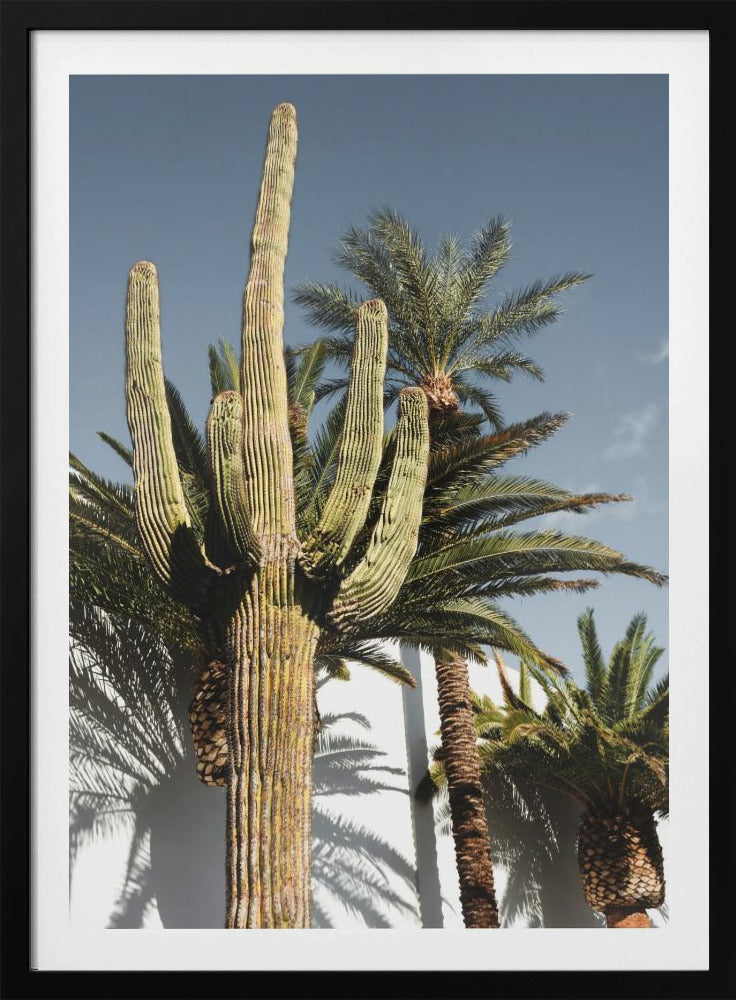 Cactus Las Vegas | Poster