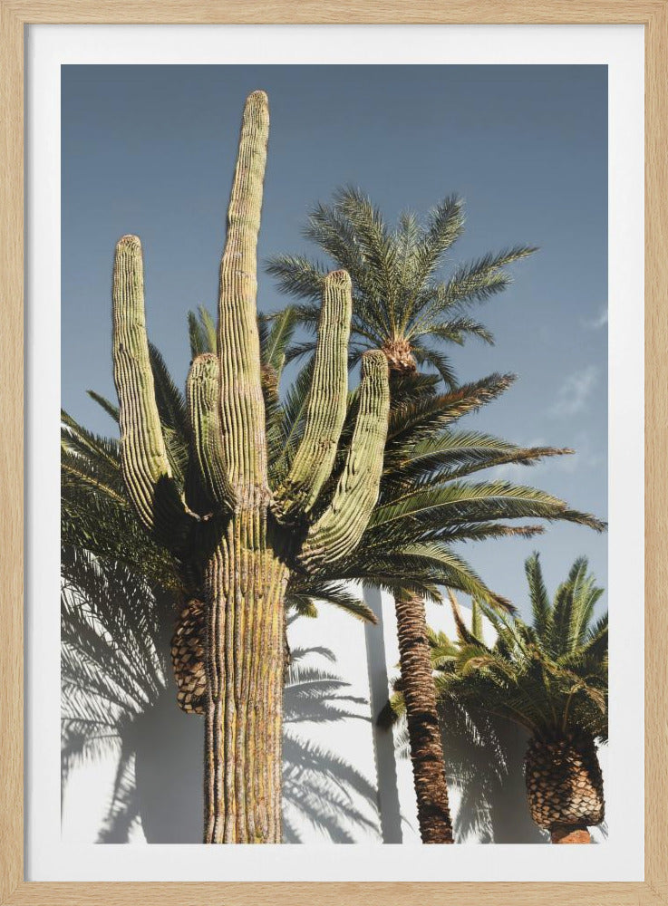 Cactus Las Vegas | Poster