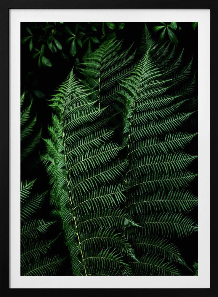 Dark Leaves 16 | Poster