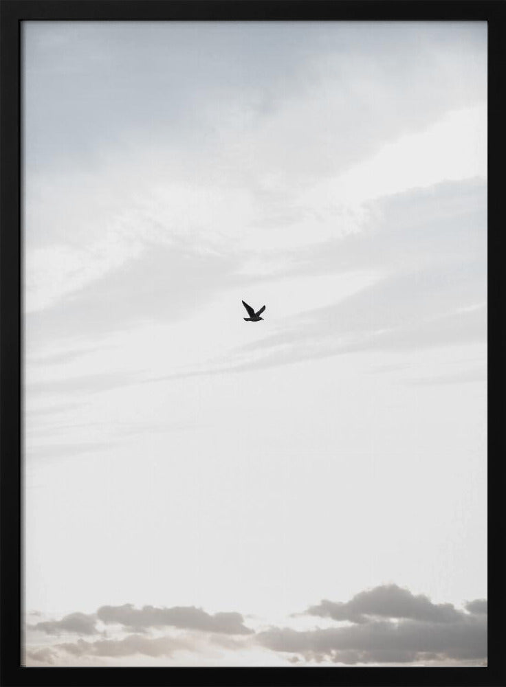 Flying High | Poster