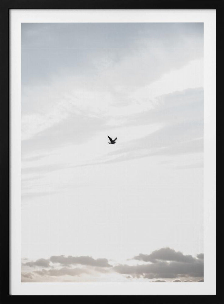 Flying High | Poster