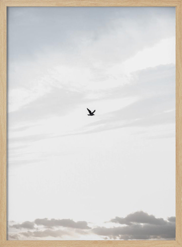 Flying High | Poster