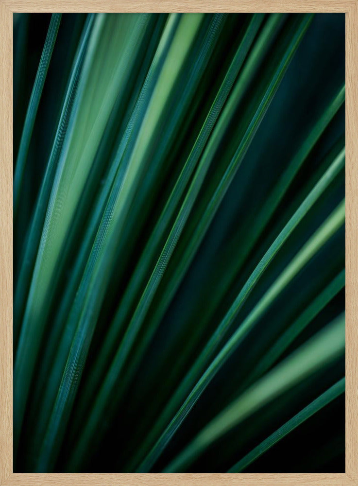 Green Straws 2 | Poster
