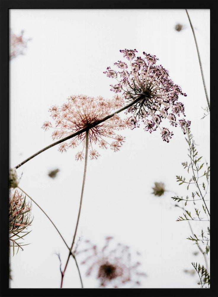 Summer Flowers | Poster