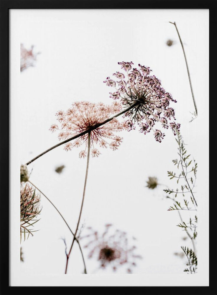 Summer Flowers | Poster