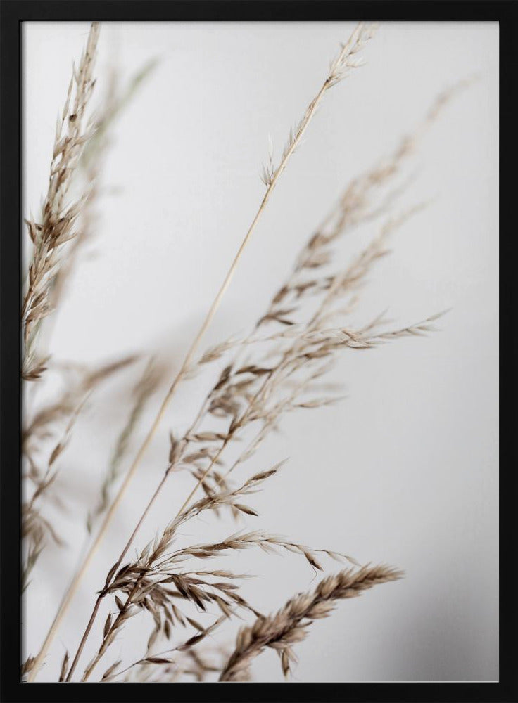 Summer Grass 2 | Poster