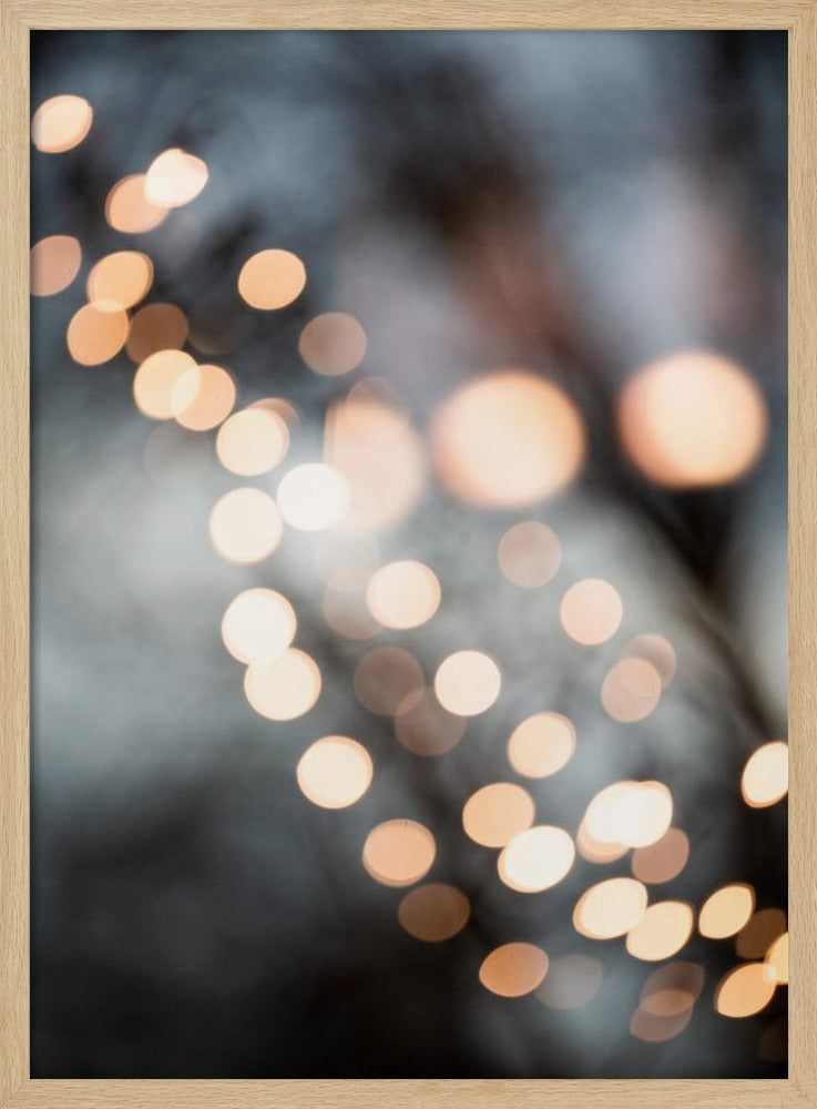Winter Lights | Poster