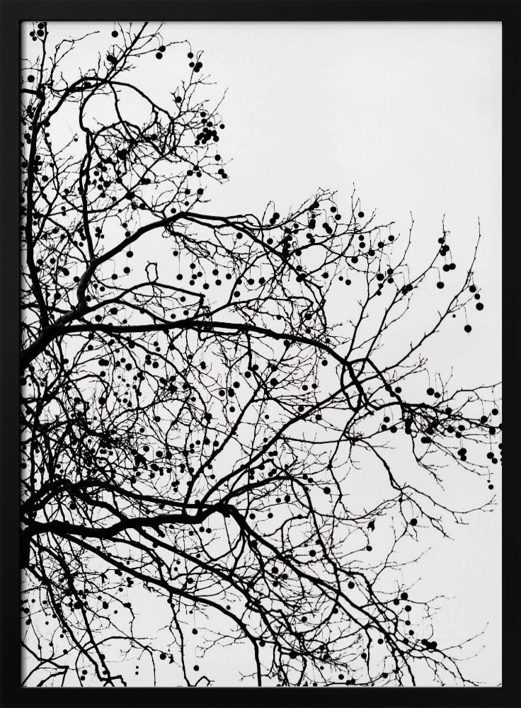 Winter Silhouettes 5 | Poster