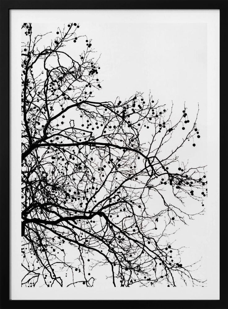 Winter Silhouettes 5 | Poster