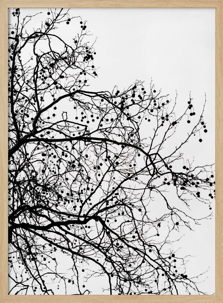 Winter Silhouettes 5 | Poster