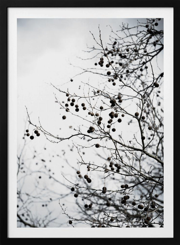 Winter Silhouettes 6 | Poster