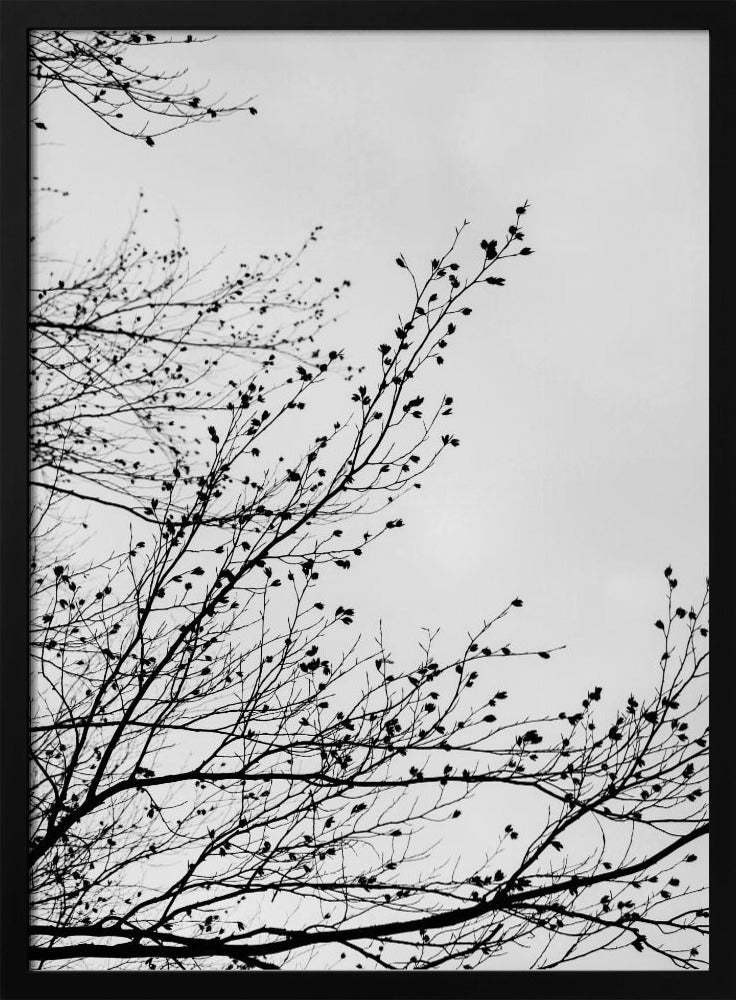 Winter Silhouettes 7 | Poster