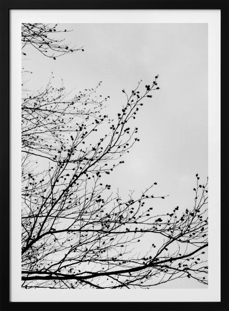 Winter Silhouettes 7 | Poster