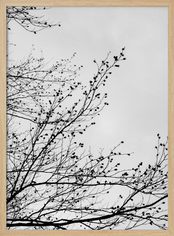 Winter Silhouettes 7 | Poster