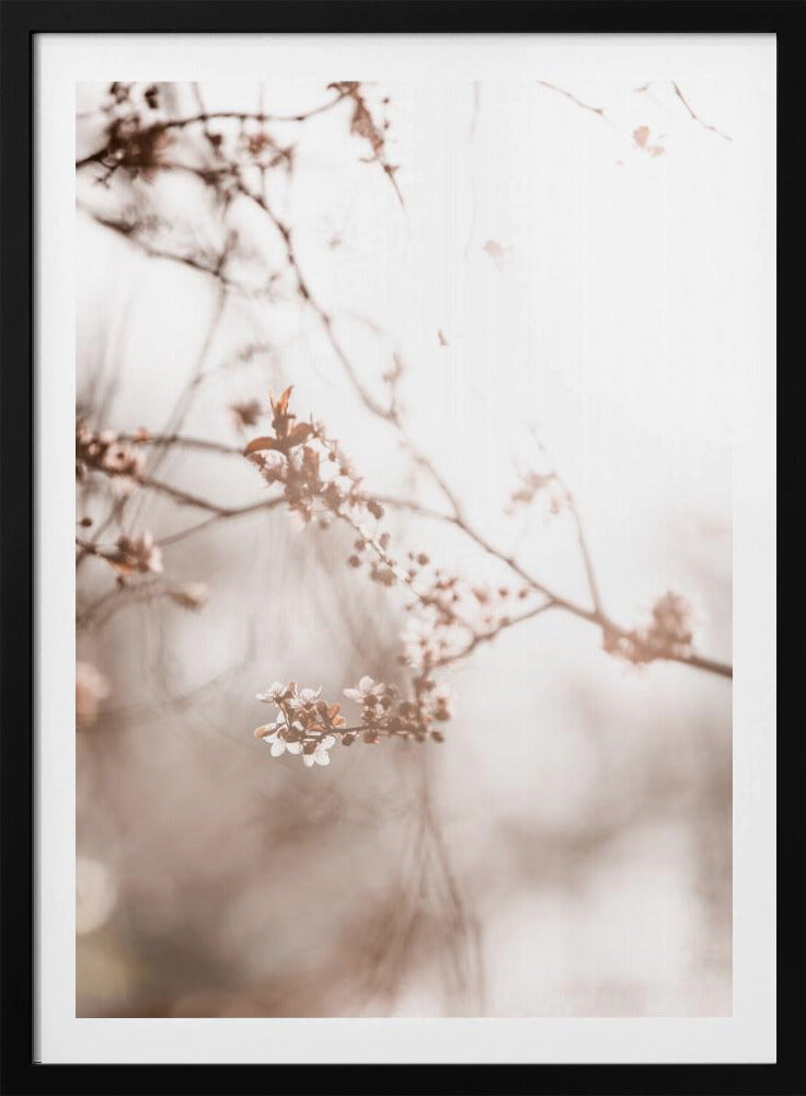 Last Spring 3 | Poster