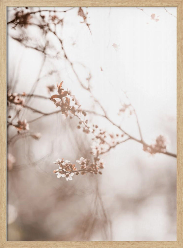 Last Spring 3 | Poster