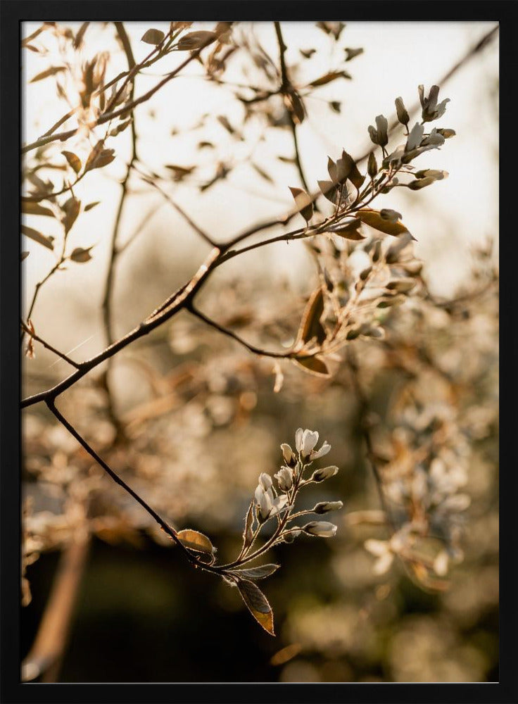 Last Spring 4 | Poster