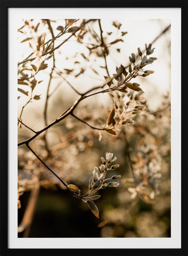 Last Spring 4 | Poster