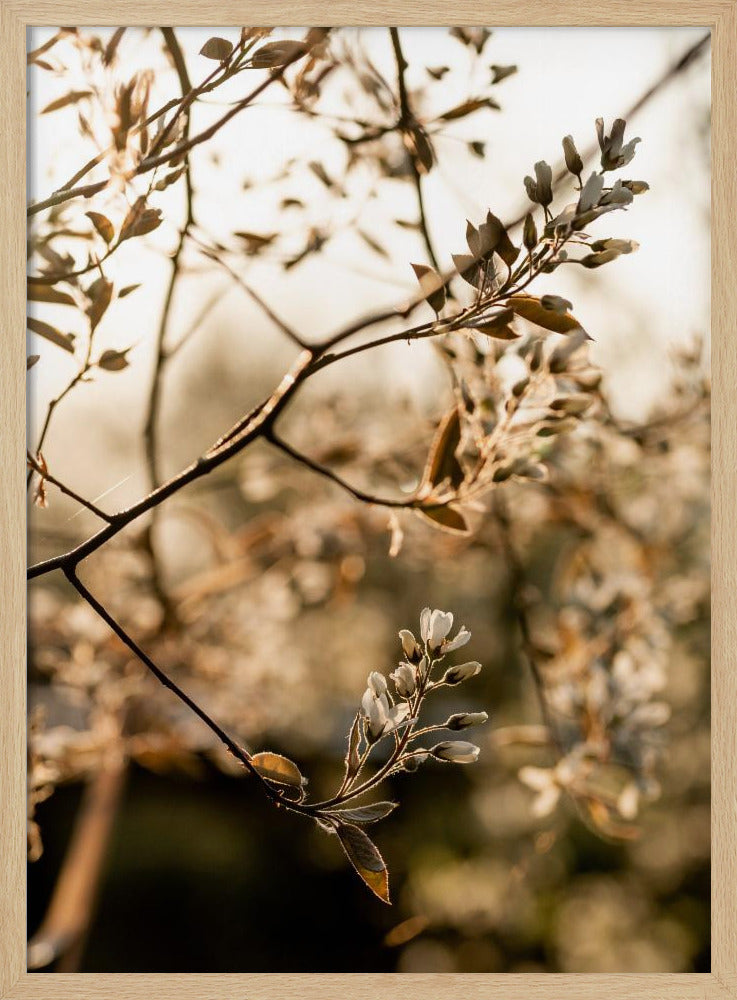 Last Spring 4 | Poster