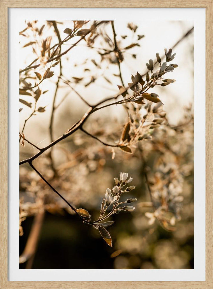 Last Spring 4 | Poster