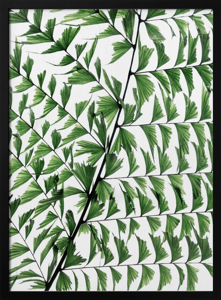 Summer Branches 4 | Poster