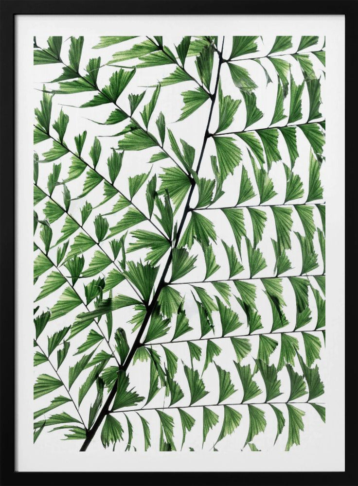 Summer Branches 4 | Poster