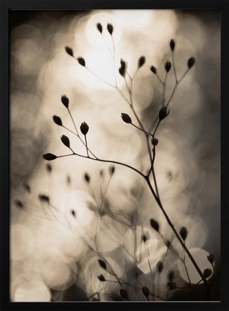 Sun Silhouettes 1 | Poster