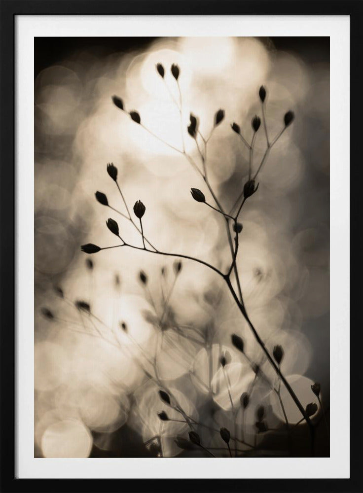 Sun Silhouettes 1 | Poster