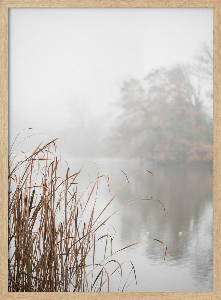 At the Lake | Poster