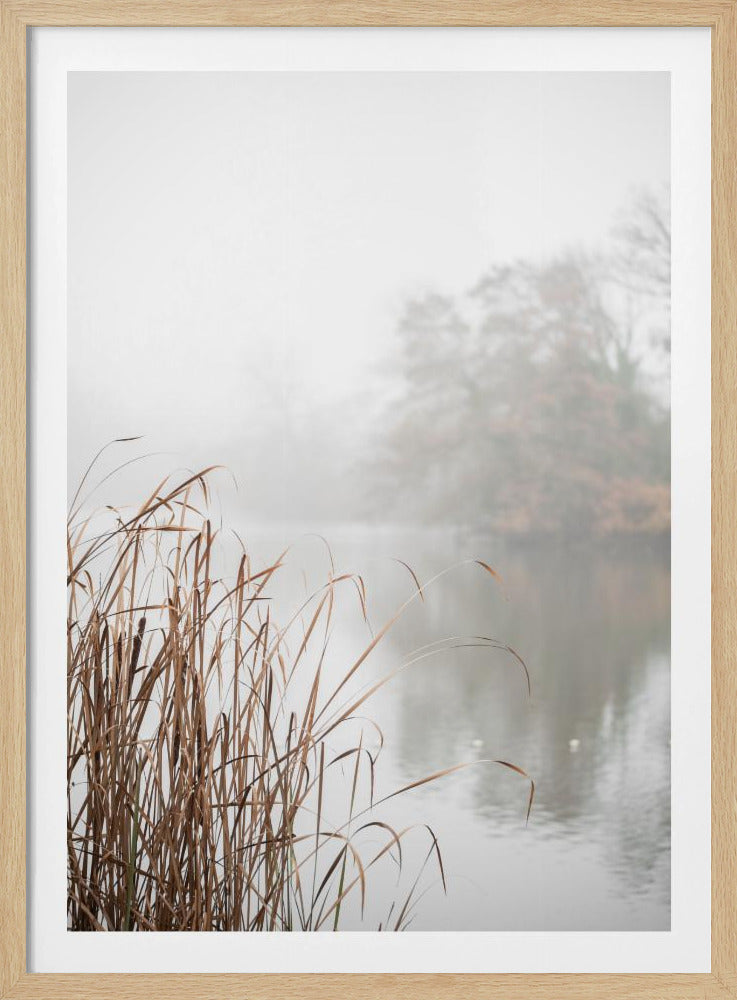 At the Lake | Poster