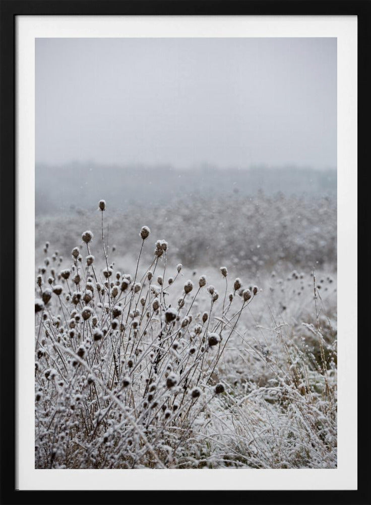 Winter Field 4 | Poster