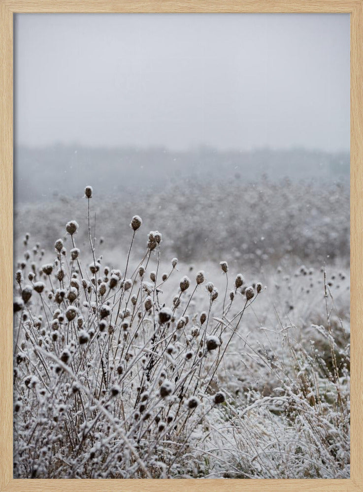 Winter Field 4 | Poster