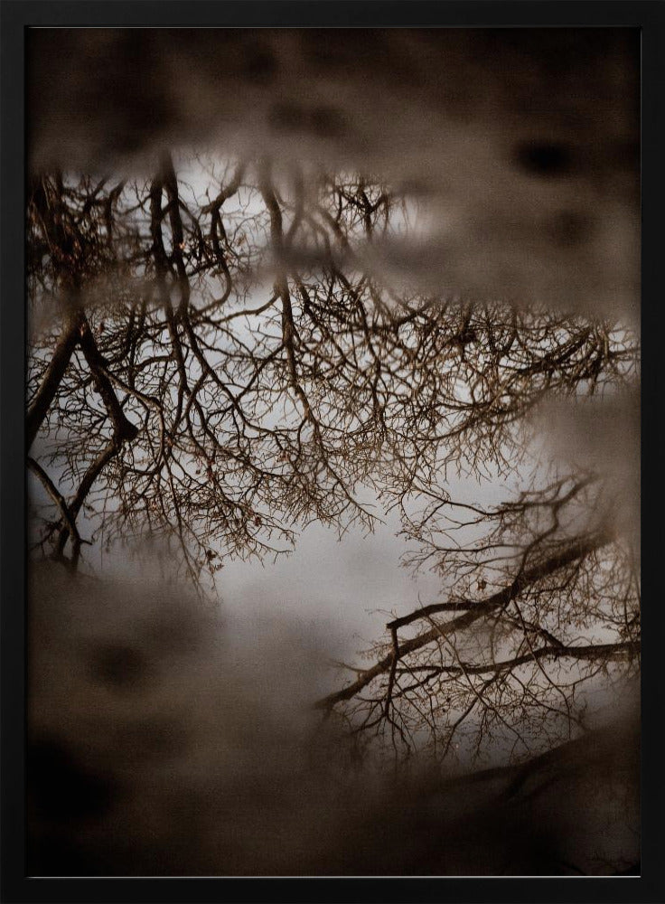 Winter Reflections | Poster