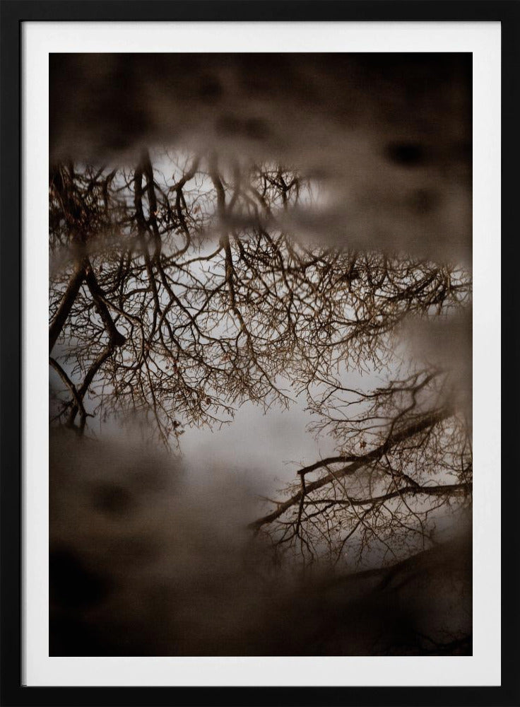 Winter Reflections | Poster